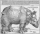 Germany: Dürer's Rhinoceros, in a woodcut from 1515.