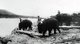 Thailand: An 1898 photograph of elephants working on a teak logging enterprise on the Siamese side of the Mekong River.
